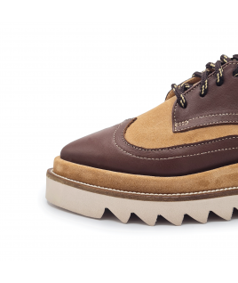 Oxford Shoes in Brown